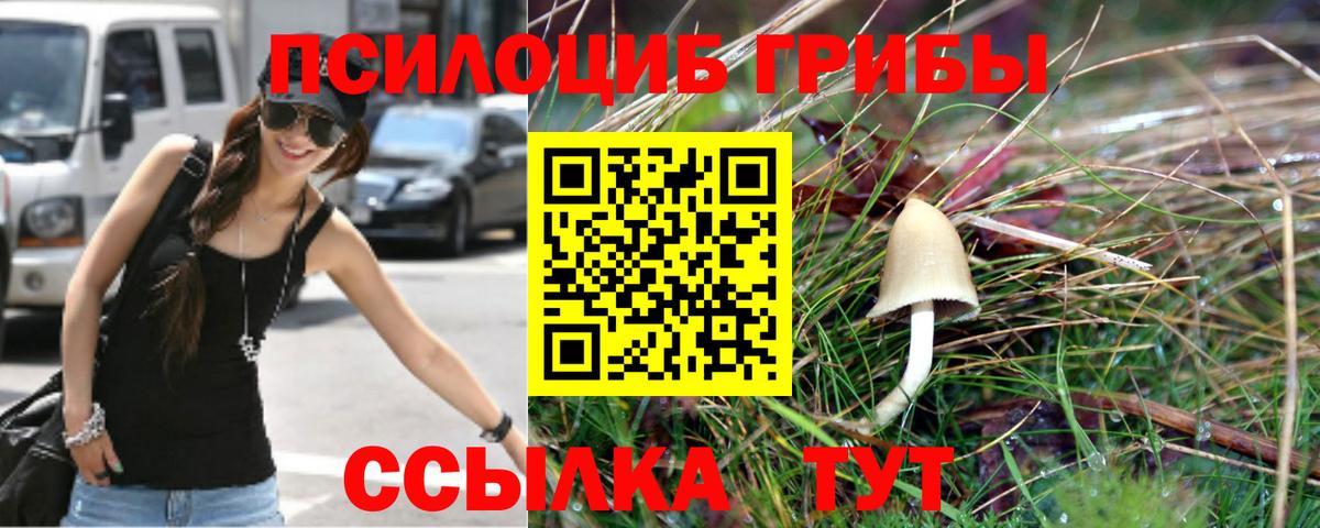 Галлюциногенные грибы мицелий Воскресенск